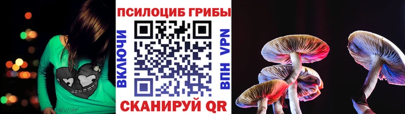 Купить закладки  Каневская  Псилоцибиновые грибы Magic Shrooms 